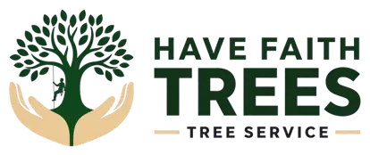 Have Faith Trees — tree service in St. Augustine, FL